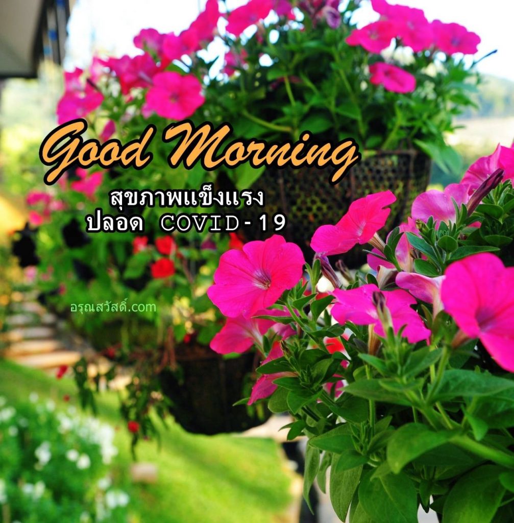 Good Morning – อรุณสวัสดิ์